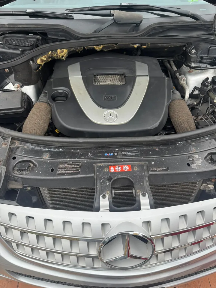2006 Mercedes-Benz ML350, silver, engine, photo 10 of 10